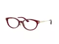 Jimmy Choo Glasögon JC 3029D 5062