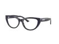 Jimmy Choo Glasögon JC 3030B 5016