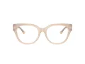 Jimmy Choo Glasögon JC 3035 5025