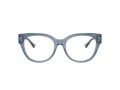 Jimmy Choo Glasögon JC 3035 5067