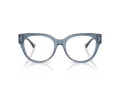 Jimmy Choo Glasögon JC 3035 5067