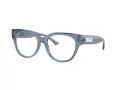 Jimmy Choo Glasögon JC 3035 5067