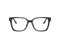 Jimmy Choo Glasögon JC 3038D 5000