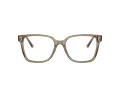 Jimmy Choo Glasögon JC 3038D 5051