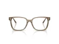 Jimmy Choo Glasögon JC 3038D 5051