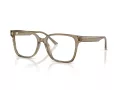 Jimmy Choo Glasögon JC 3038D 5051