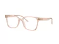 Jimmy Choo Glasögon JC 3038D 5052