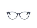 Jimmy Choo Glasögon JC 3039D 5035