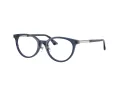 Jimmy Choo Glasögon JC 3039D 5035