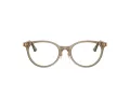 Jimmy Choo Glasögon JC 3039D 5051