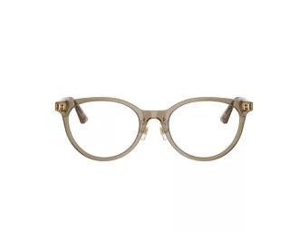 Jimmy Choo Glasögon JC 3039D 5051