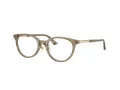 Jimmy Choo Glasögon JC 3039D 5051