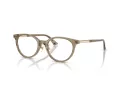 Jimmy Choo Glasögon JC 3039D 5051