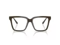 Jimmy Choo Glasögon 3040U 5060