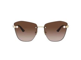 Jimmy Choo Solglasögon JC 4004HB 300613