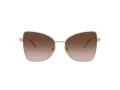 Jimmy Choo Solglasögon JC 4010B 300613