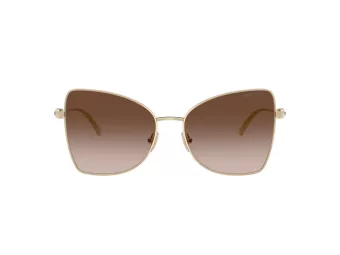 Jimmy Choo Solglasögon JC 4010B 300613