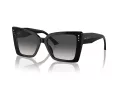 Jimmy Choo Solglasögon JC 5001B 50008G