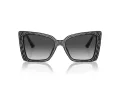 Jimmy Choo Solglasögon JC 5001B 50538G