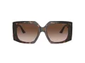 Jimmy Choo Solglasögon JC 5006U 500213