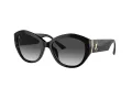 Jimmy Choo Solglasögon JC 5013U 50008G