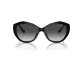 Jimmy Choo Solglasögon JC 5013U 50008G