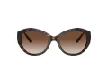 Jimmy Choo Solglasögon JC 5013U 500213