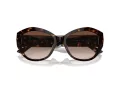 Jimmy Choo Solglasögon JC 5013U 500213
