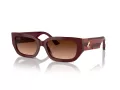 Jimmy Choo Solglasögon JC 5017 50135M