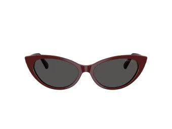 Jimmy Choo Solglasögon JC 5023H 505787