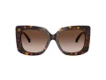 Jimmy Choo Solglasögon JC 5025H 500213