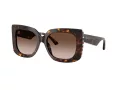 Jimmy Choo Solglasögon JC 5025H 500213