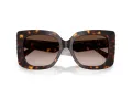 Jimmy Choo Solglasögon JC 5025H 500213