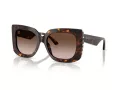 Jimmy Choo Solglasögon JC 5025H 500213