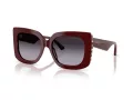 Jimmy Choo Solglasögon JC 5025H 50578G