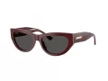 Jimmy Choo Solglasögon JC 5034BU 505787