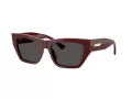 Jimmy Choo Solglasögon JC 5035B 505787