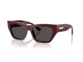 Jimmy Choo Solglasögon JC 5035B 505787