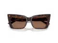 Jimmy Choo Solglasögon JC 5041 500273