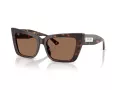 Jimmy Choo Solglasögon JC 5041 500273