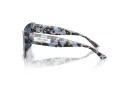 Jimmy Choo Solglasögon JC 5041 506980