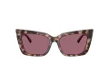 Jimmy Choo Solglasögon JC 5041 50701A