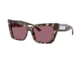 Jimmy Choo Solglasögon JC 5041 50701A