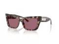 Jimmy Choo Solglasögon JC 5041 50701A