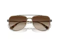 Michael Kors Whistler Solglasögon MK 1155 100113
