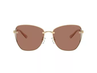 Michael Kors Beijing Solglasögon MK 1158D 101403
