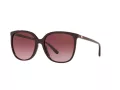 Michael Kors Anaheim Solglasögon MK 2137U 3344/8H