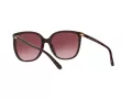 Michael Kors Anaheim Solglasögon MK 2137U 3344/8H