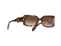 Michael Kors Corfu Solglasögon MK 2165 3028/13