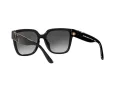 Michael Kors Karlie Solglasögon MK 2170U 3005/8G